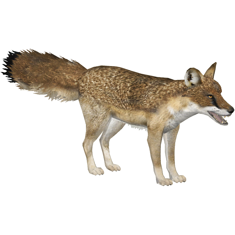 Fox antelope, Avatar Wiki, Fandom