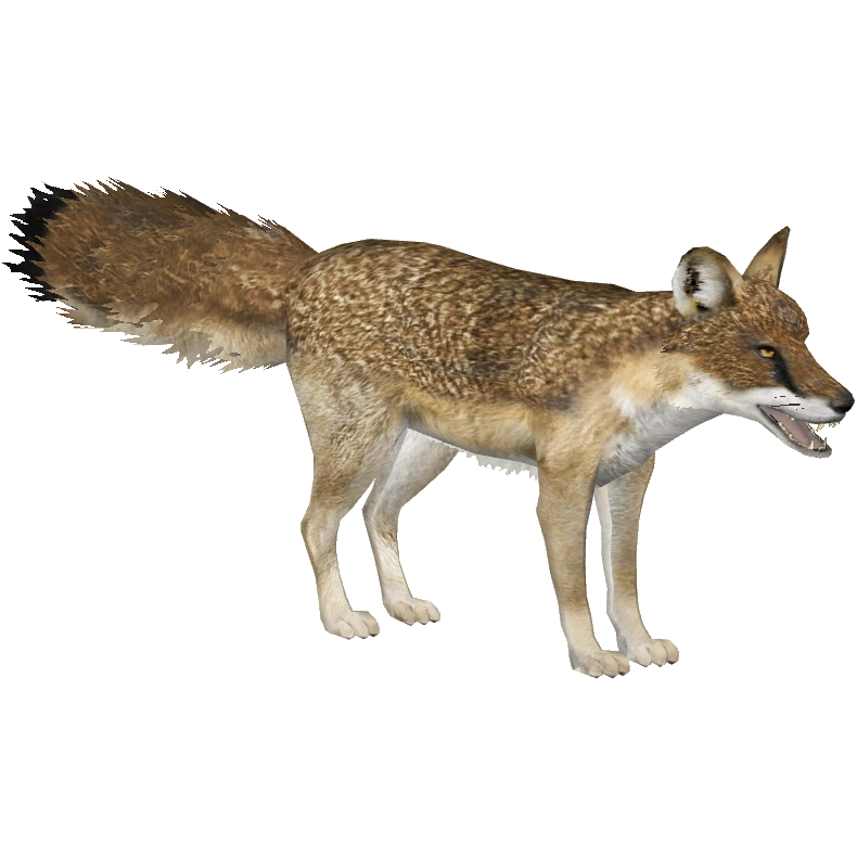 Alopecoid Fox (Tamara Henson) | ZT2 Download Library Wiki | Fandom