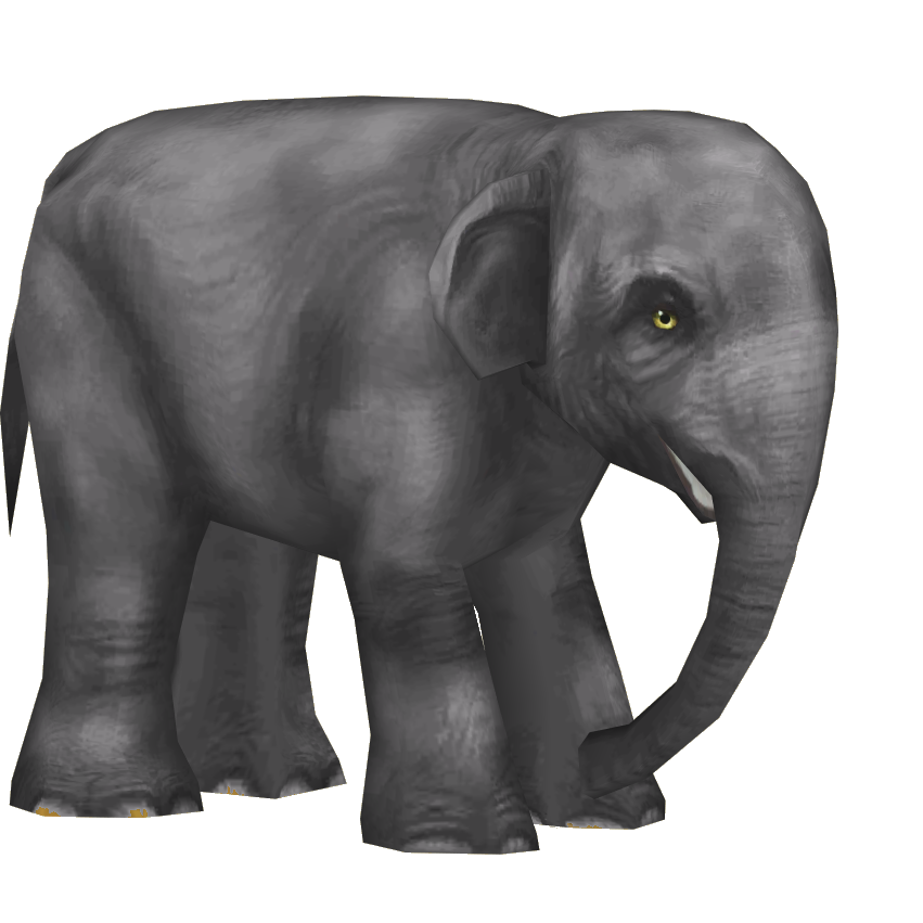 Elephante, Neopets, indian Elephant, Elephant, fandom, avatar