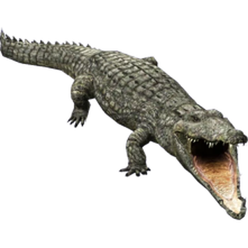 Nile Crocodile (Aurora Designs) | ZT2 Download Library Wiki | Fandom