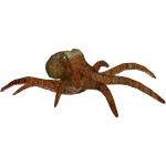 Ambient Common Octopus (Zerosvalmont)