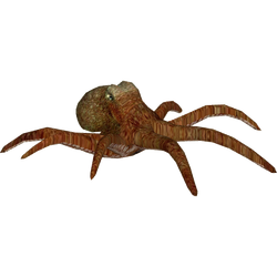 Category:Mediterranean Sea Animals | ZT2 Download Library Wiki | Fandom Category:Mediterranean Sea Animals | ZT2 Download Library Wiki | Fandom