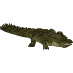 Purussaurus (Bunyupy)