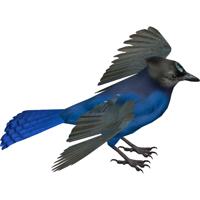 Blue Jay (HENDRIX), ZT2 Download Library Wiki