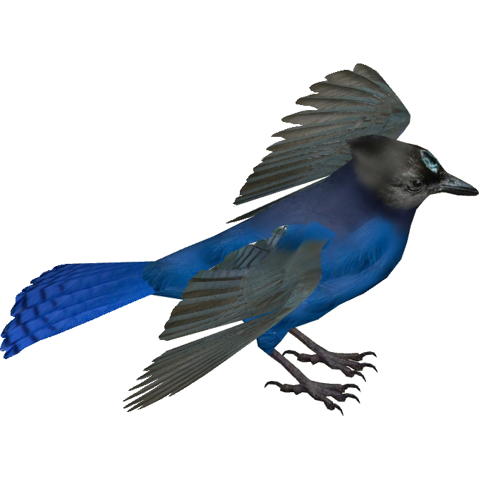 Birds by Toikka for Iittala – Star of Raquel Annual Bird