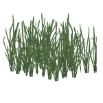 Sago Water Grass (Z-Studio) (305 KB) Sago Water Grass (Z-Studio)