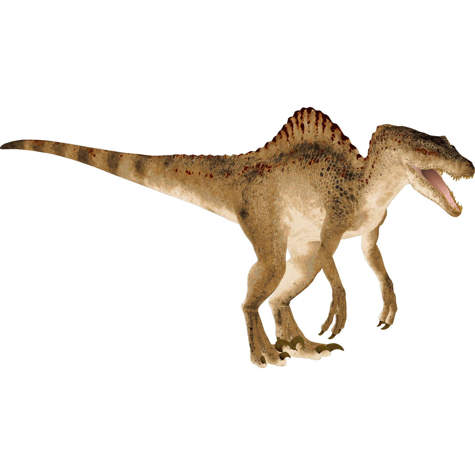 zoo tycoon 2 spinosaurus zoo tycoon 2 spinosaurus