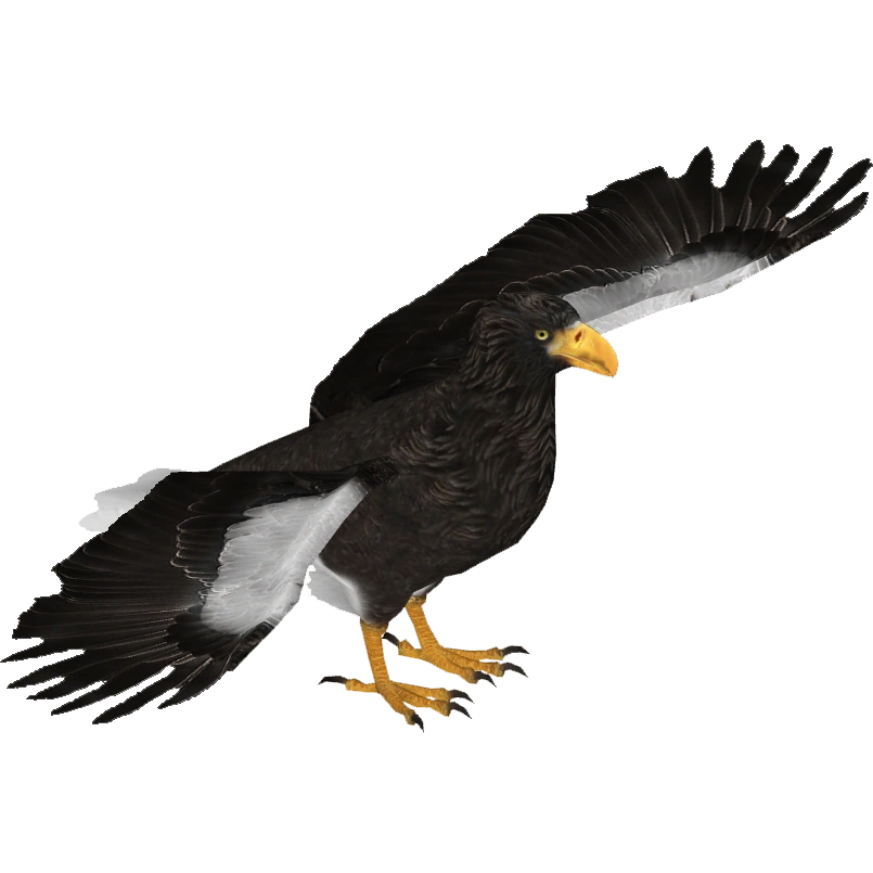 Steller's Sea Eagle (Tamara Henson) | ZT2 Download Library Wiki