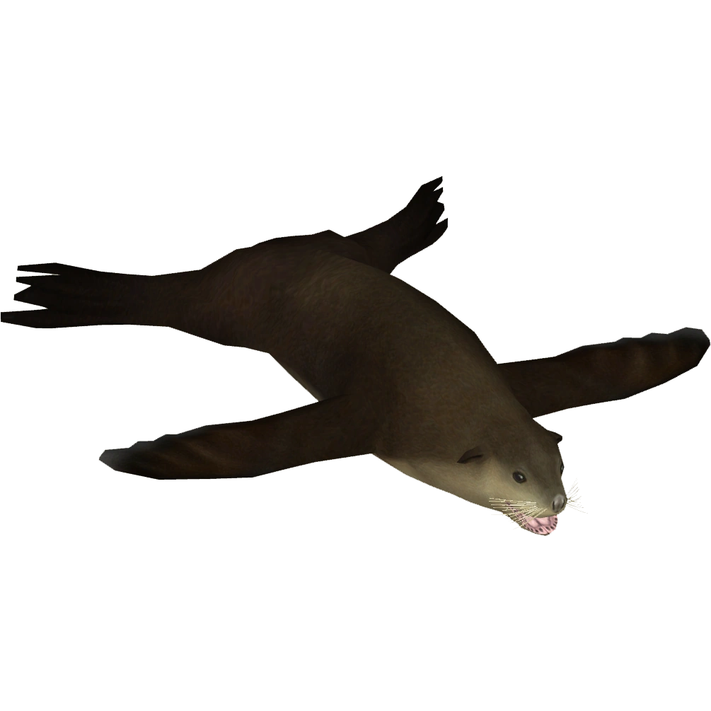 Subantarctic Fur Seal (ZetaDesigns) ZT2 Download Library Wiki Fandom