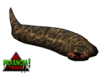 Tsuchinoko (Z-Studio)