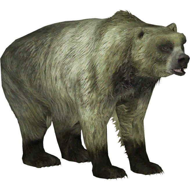 tintirabear latest?cb=20150204222028