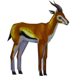 Saudi Gazelle (Dinosaur)