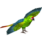 Great Green Macaw (MasterChief123)