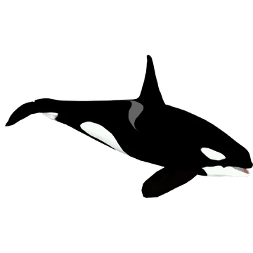 360?cb=20211129152816