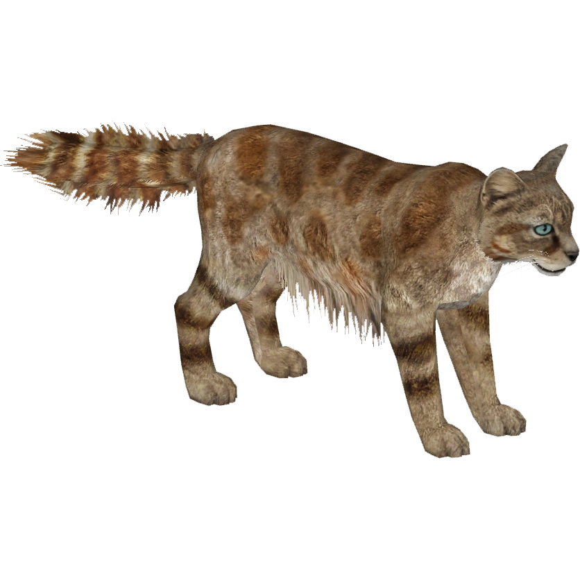 Andean Mountain Cat (Tamara Henson) | ZT2 Download Library Wiki