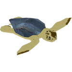 Flatback Turtle (Dannybob)