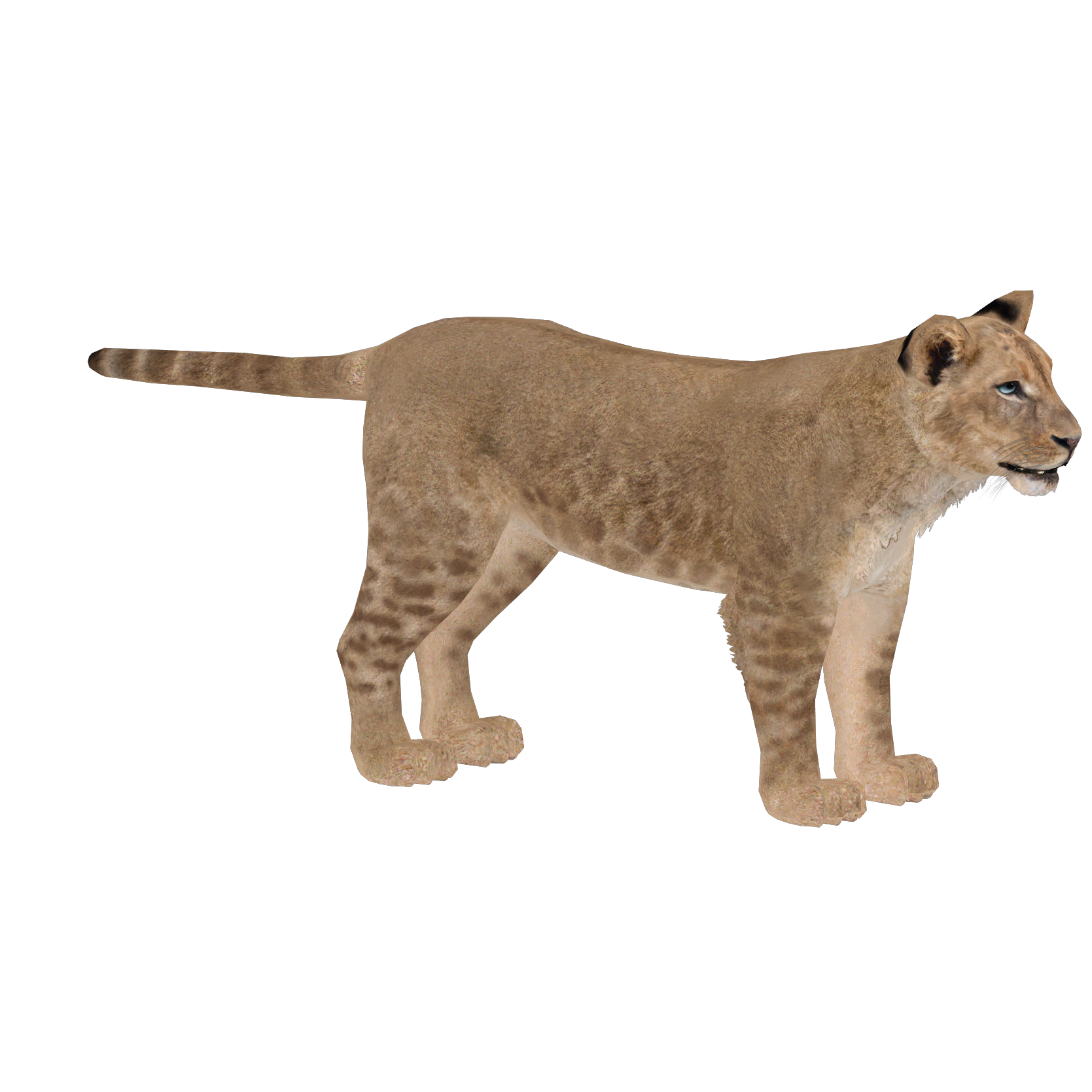 Zoo Tycoon 3: Asiatic Lion 