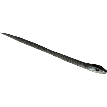 Black Mamba (16529950)