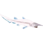 Goblin Shark (Buffzoo) (146 KB) Goblin Shark (Buffzoo)
