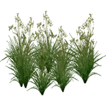 Sawgrass (Hispa Designs) (329 KB) Sawgrass (Hispa Designs)