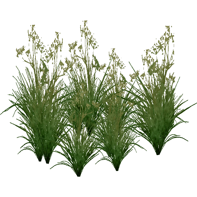 Sawgrass (Hispa Designs) | ZT2 Download Library Wiki | Fandom