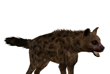 Fossa (Ludozoo) | ZT2 Download Library Wiki | Fandom