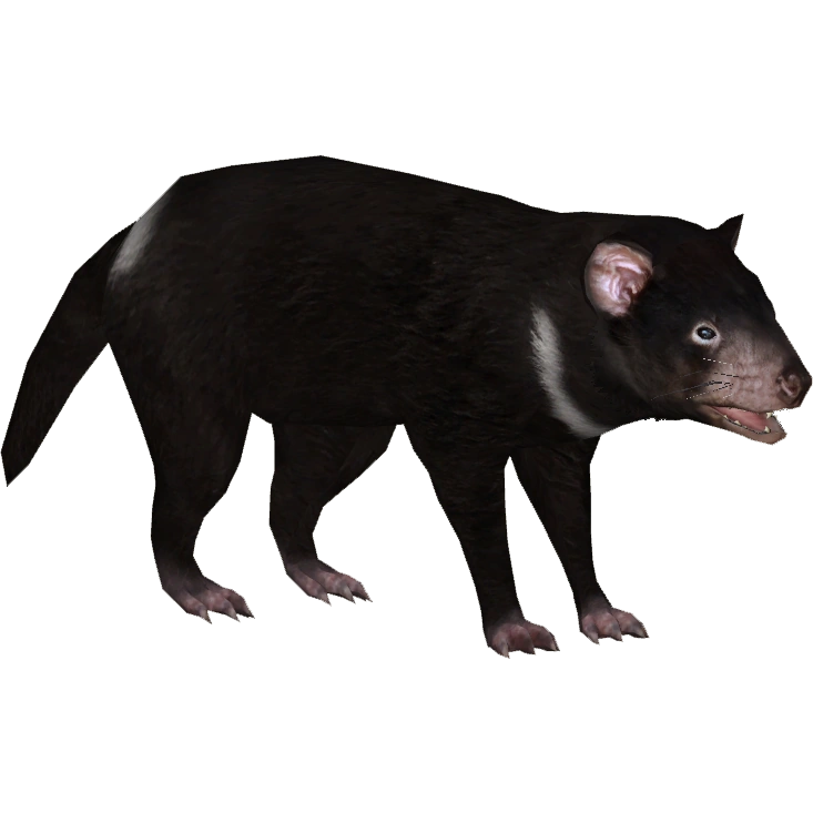 Tasmanian Devil (Zerosvalmont) | ZT2 Download Library Wiki | Fandom