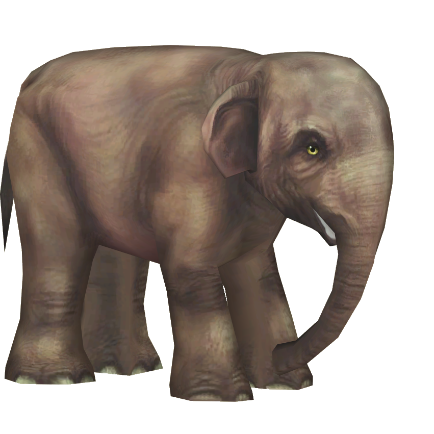 Amazon.com: Borneo's Pygmy Elephants [Blu-ray] : Narrated