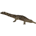 False Gharial (ZTABC Team)