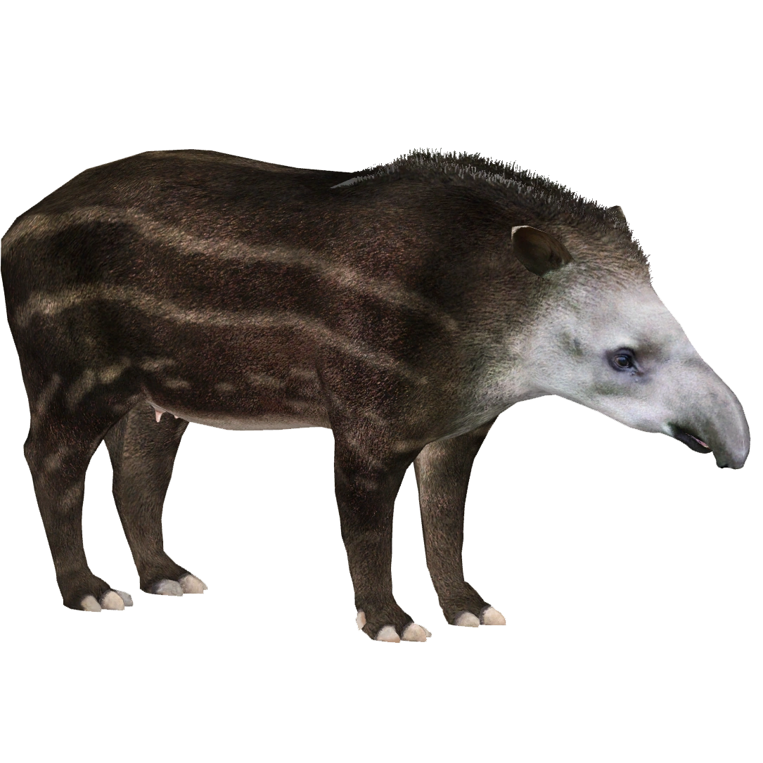 その他 KUBO SPACE-King of the White Deer White Deer Studio - Princess Mononoke San - OrzGK