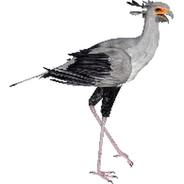 ソフトダーツ　JUNGLE BIRD　samseys　鳥 samseys】 ソフトダーツ JUNGLE BIRD サムセイ ソフトダーツ 激