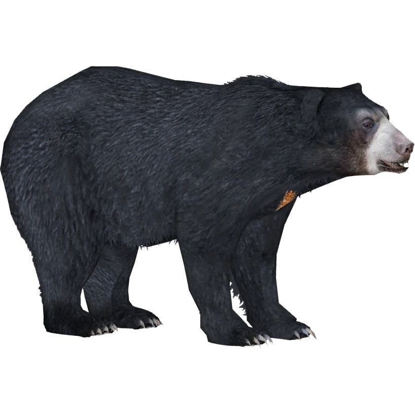 Sun Bear (Tamara Henson) | ZT2 Download Library Wiki | Fandom