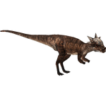 Jurassic World Stygimoloch (Zoo Tycoon 2 Thailand)/Version 1