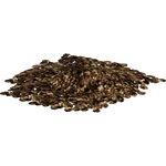 Kibbles (Kingcobrasaurus)