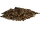 Kibbles (Kingcobrasaurus)