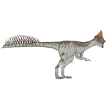 Stegoceras (Kingcobrasaurus)