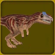 Allosaurus