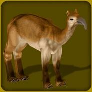 Macrauchenia