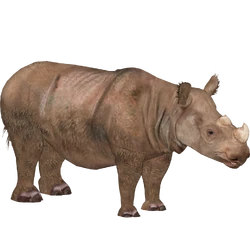 エスピリチュ（2010）　ライノ（RHINO）　T２ファクトリー（ノーマル） エスピリチュ（2010） ライノ（RHINO） T2ファクトリー