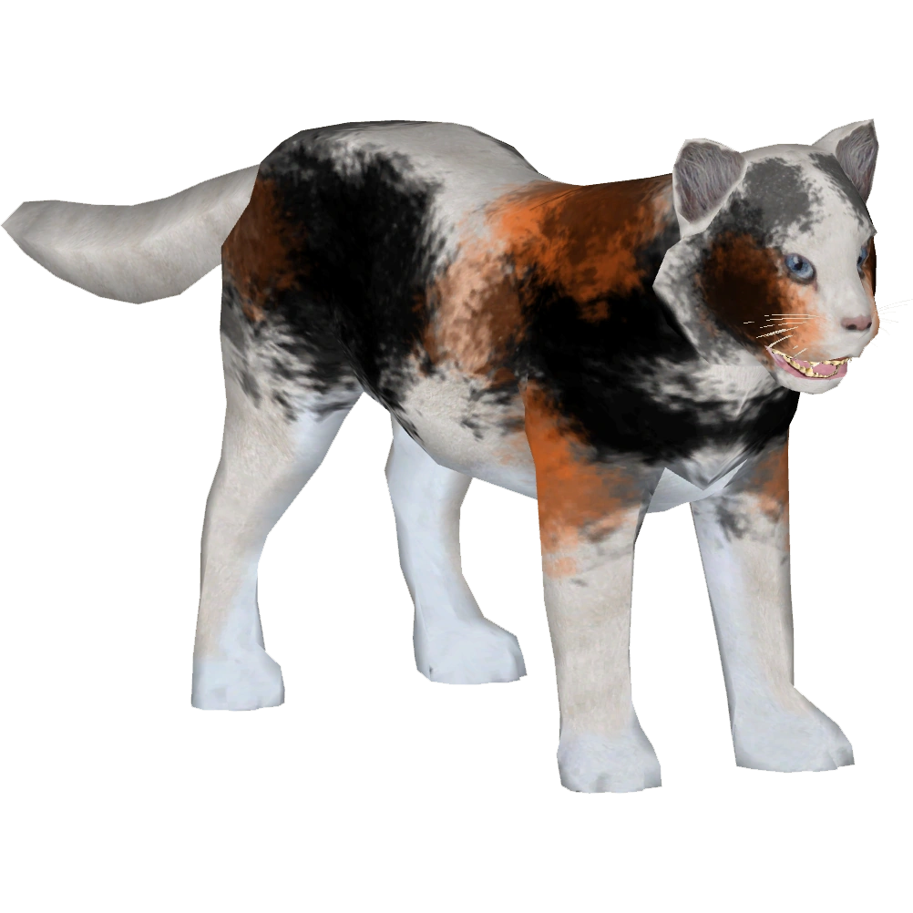 Domestic Cat (slice) | ZT2 Download Library Wiki | Fandom