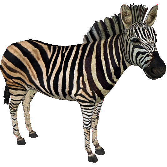 Chapman's Zebra (DutchDesigns) | ZT2 Download Library Wiki | Fandom