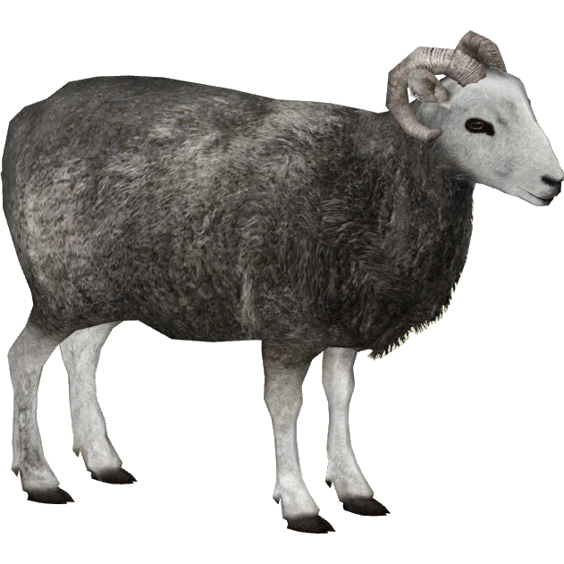 latest?cb=20151115151624