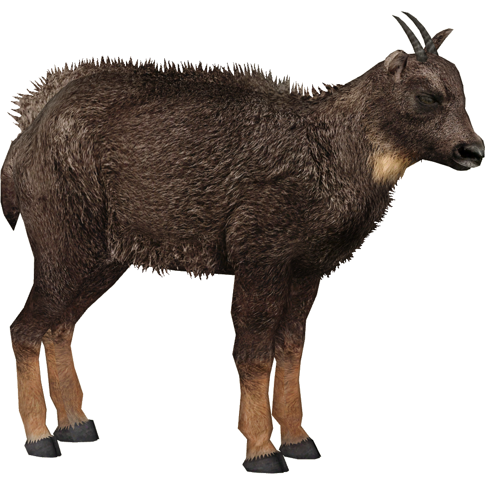 2点まとめ goodenough donkey shantii chino hq720.jpg?sqp=-
