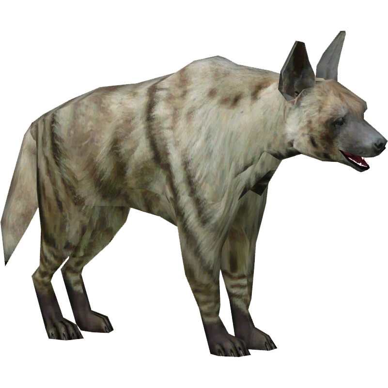 HYENA STATION  HYENA STATION Planet Zoo - Hunter Valley Zoo #5 - Speed