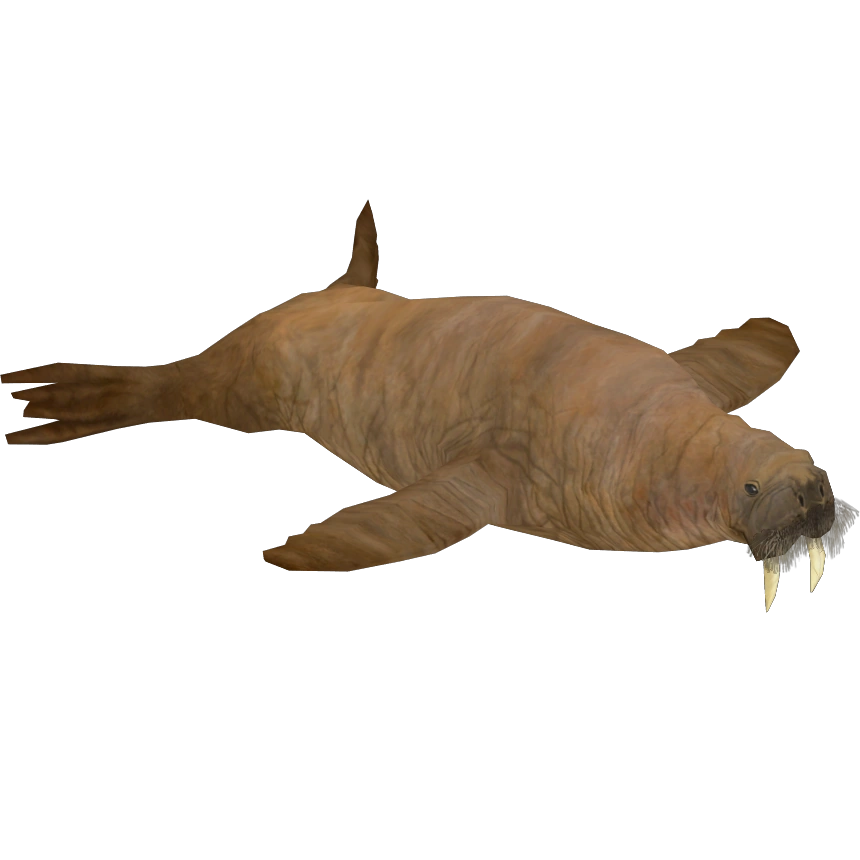 latest?cb=20240213045014