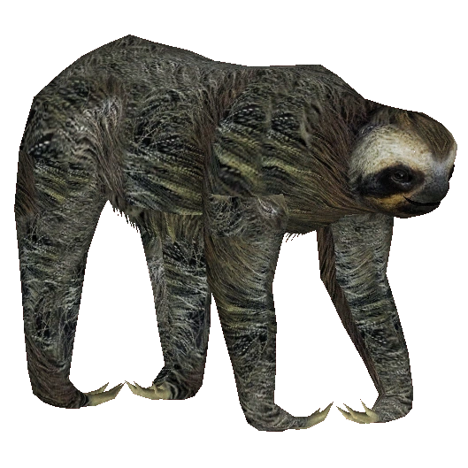 Pygmy Three-toed Sloth (Dacentru) | ZT2 Download Library Wiki | Fandom
