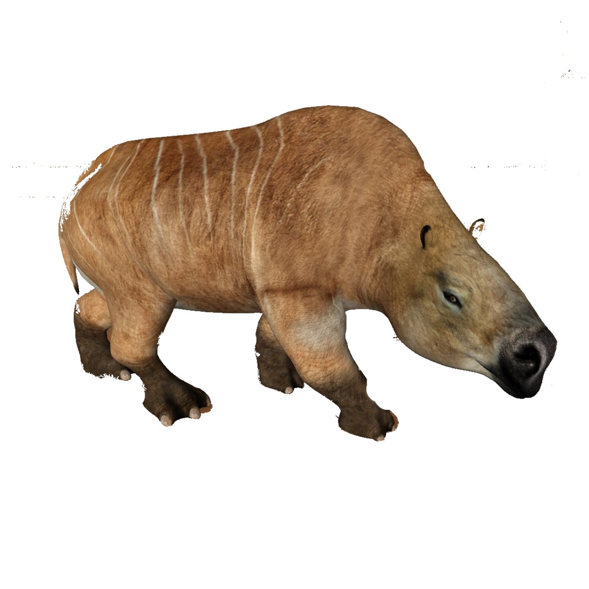 toxodon platensis