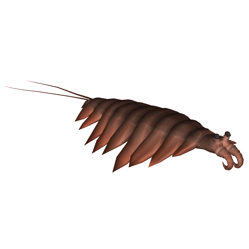 Anomalocaris Laaswhalle Designs Zt2 Download Library Wiki Fandom