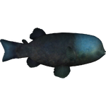 Barreleye (Dycki1231)