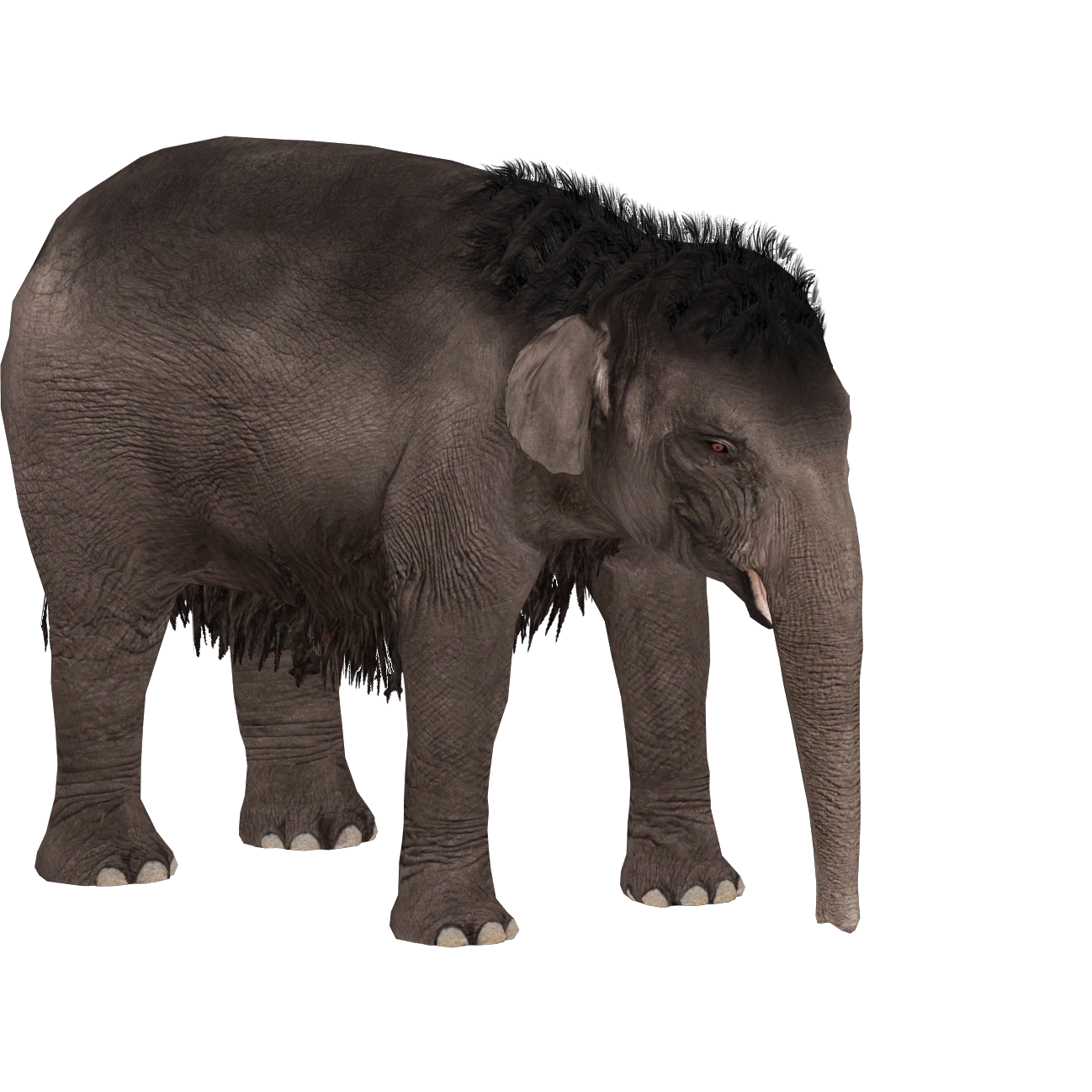 Dwarf Cyprus Elephant (Demon Hunter) | ZT2 Download Library Wiki